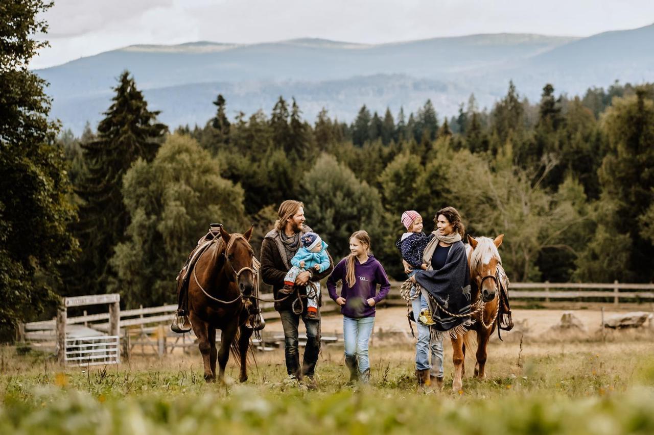 Landhotel Zum Matthiasl Bischofsreut Dış mekan fotoğraf